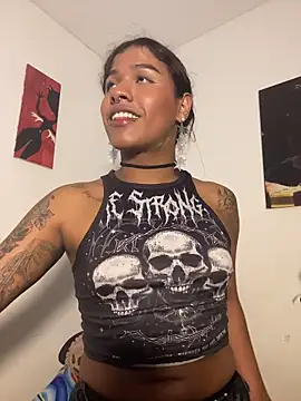 cam11_07 网络视讯表演