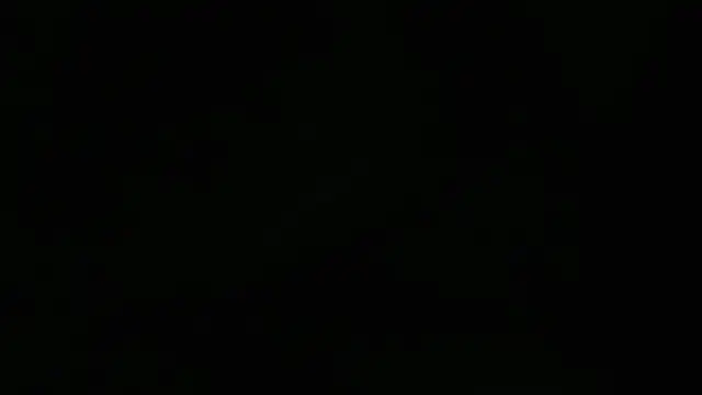 Lacht_Liden Webcam show