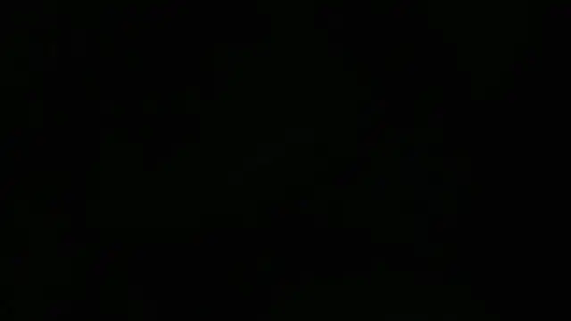 Lacht_Liden Show in webcam