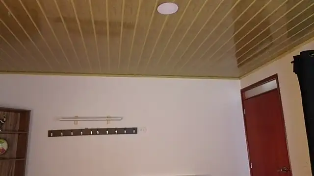 Renaxi_SmithのライブXXXチャット