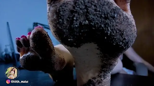 Lilith_malum Chat XXX live