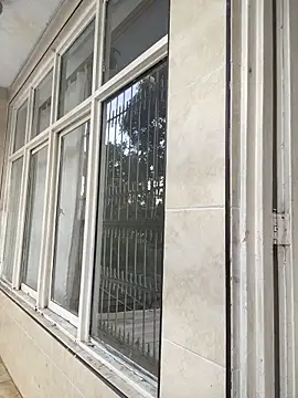 Show webcam de cam11_07