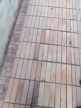 sophie_banger 라이브 XXX 채팅