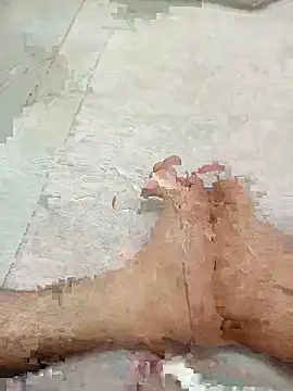 Hardizmirn Webbikameraesitys