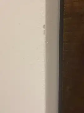 Show de webcam de TLG_ferchule