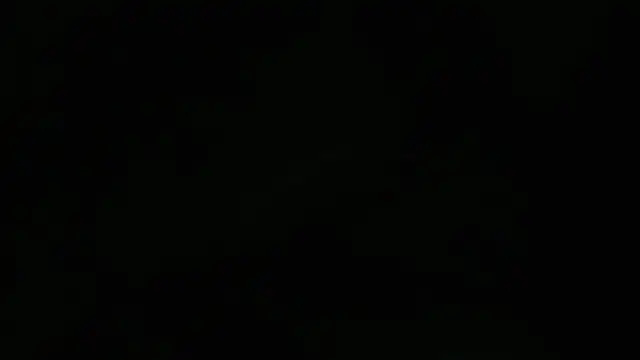 Lacht_Liden: διαδικτυακό σόου στην κάμερα