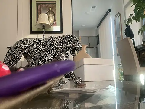 Backshort11 Adlı Modelin Canlı XXX Sohbeti