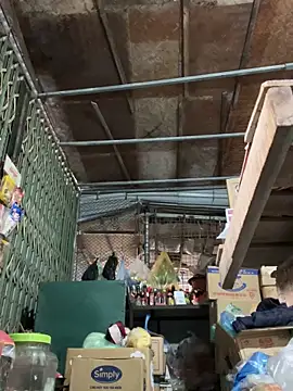 YANINA120 在線直播表演