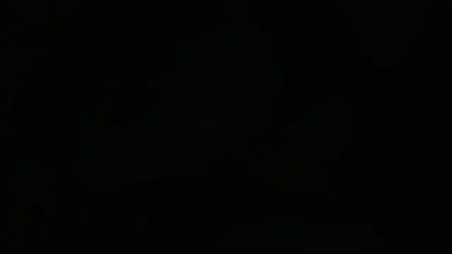 Lacht_Liden Webcam-Show