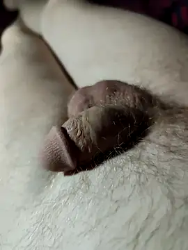 Halunja – Kamerová šou