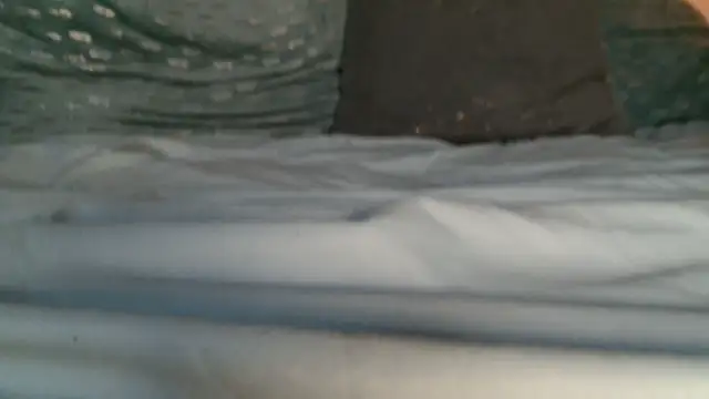 Chat +18 de 3littles ao vivo