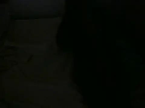 Celerona 网络视讯表演