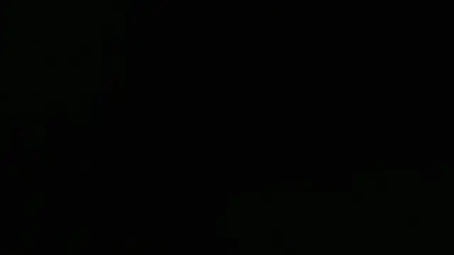 Lacht_Liden Live XXX Chat