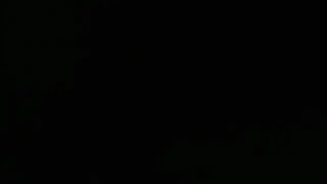 Lacht_Liden 웹캠 쇼