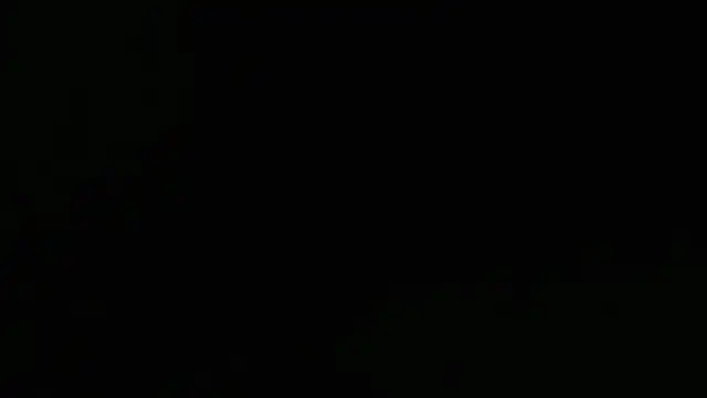 Lacht_Liden's Webcam Show