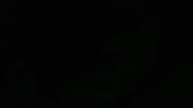 Lacht_Lidenのウェブカメラショー