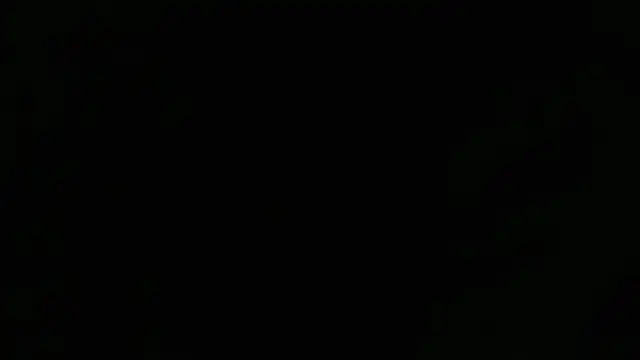 Lacht_Liden Show Webcam