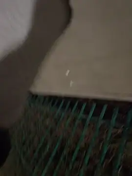 Вебкам-шоу MarekPublicShow