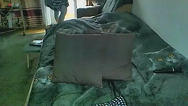 sex2 – Live XXX-chat