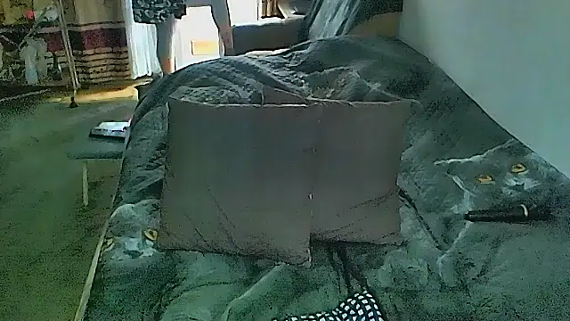 Онлайн чат XXX sex2