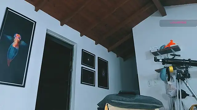 SilvaBranko's Webcam Show