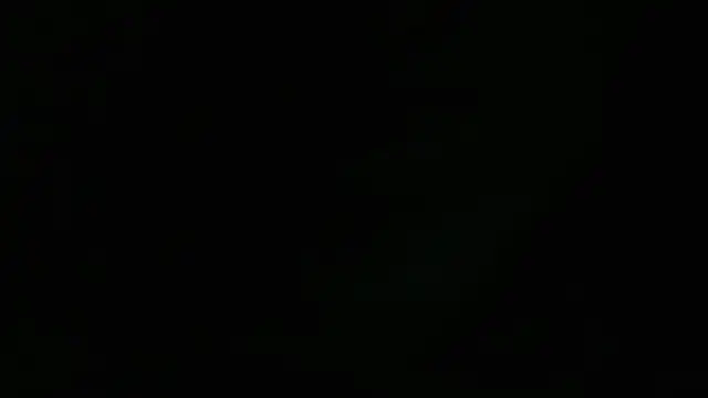 Lacht_Liden: διαδικτυακό σόου στην κάμερα