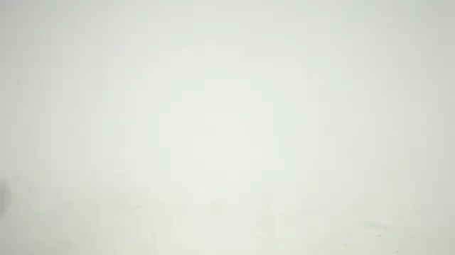 stevenosori Show Webcam