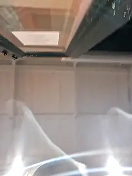 RexMinnieのライブXXXチャット