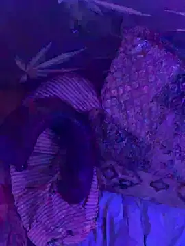 bugboy: διαδικτυακό σόου στην κάμερα