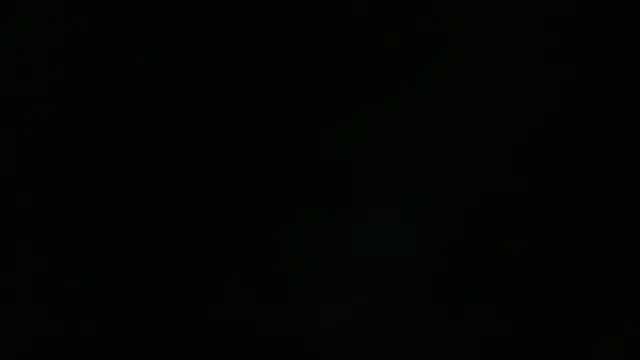 Lacht_Lidenのウェブカメラショー