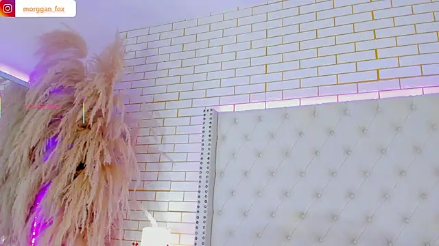 Morggan_Fox_ 即時 XXX 聊天