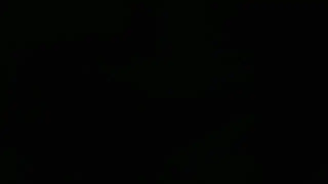 Lacht_Liden 网络视讯表演