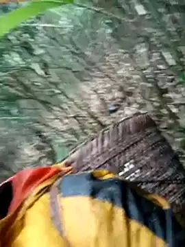 Chatroom XXX en direct de kalara_kail