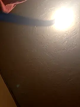 Show Webcam de swoops