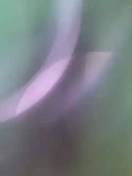 TheDime Live XXX-Chat