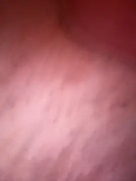 rudacami Chat XXX live