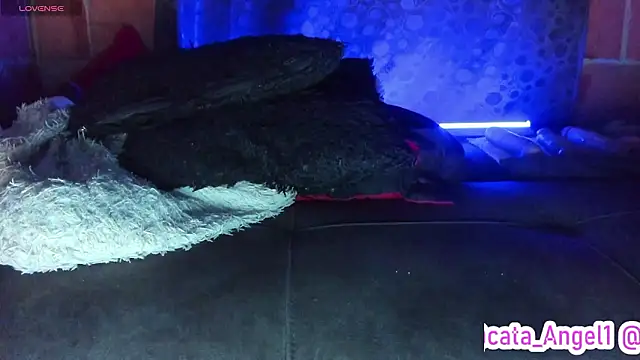 Cata-angel 现场XXX聊天