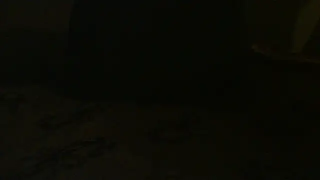 Dick_and_muscles Pertunjukan Webcam