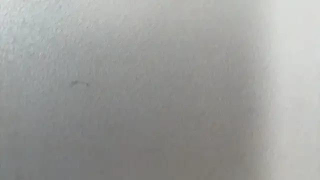 Cuteviola's Live XXX Chat