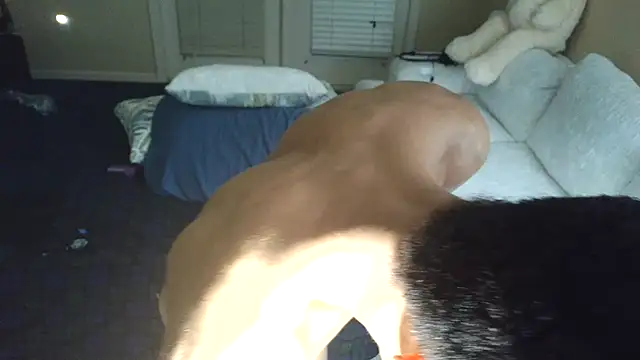 PlaywithSnM Show Webcam