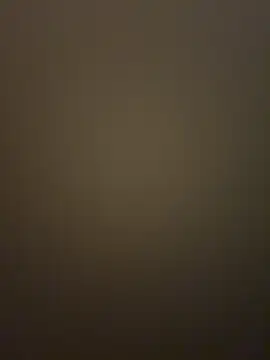 VendiMurのウェブカメラショー