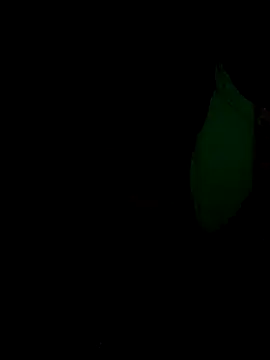 Ag_punam Webcam show