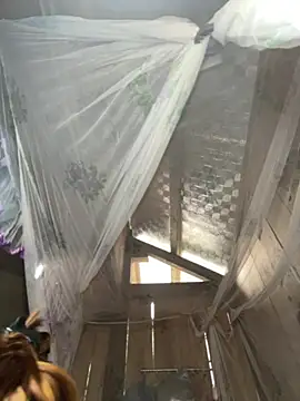 Chat +18 de Forida-ciea ao vivo