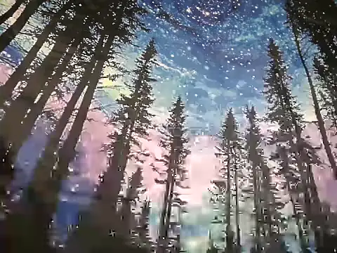 willywet: вебкам-шоу