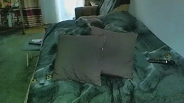 sex2's Live XXX Chat