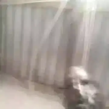 Chatroom XXX en direct de longdickson12345