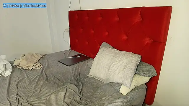 NicoDavisOfficialのウェブカメラショー