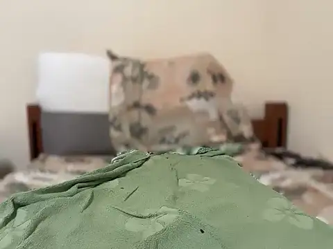 Show modela indianslavesubmissive na web-kameri