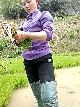 عرض كام elen8800