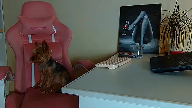 Chatroom XXX en direct de Jules_Queen